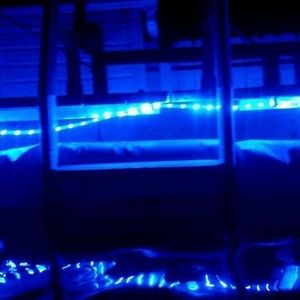 Meet your Posher, Joe